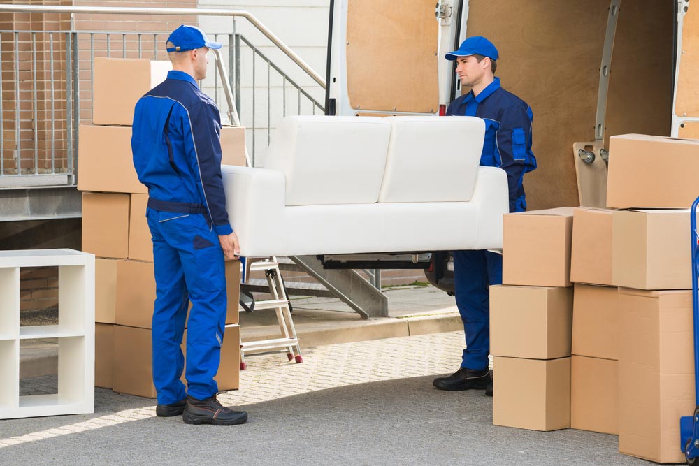 Two Movers Carrying Cardboard Box - Furniture Removals Sunshine Coast