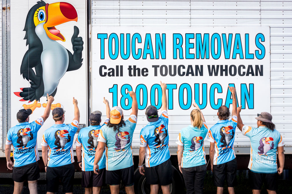 Toucan-10